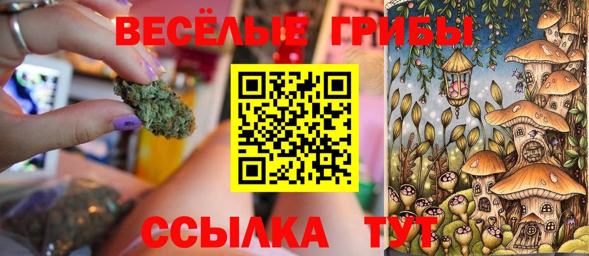 Псилоцибиновые грибы мицелий Благовещенск