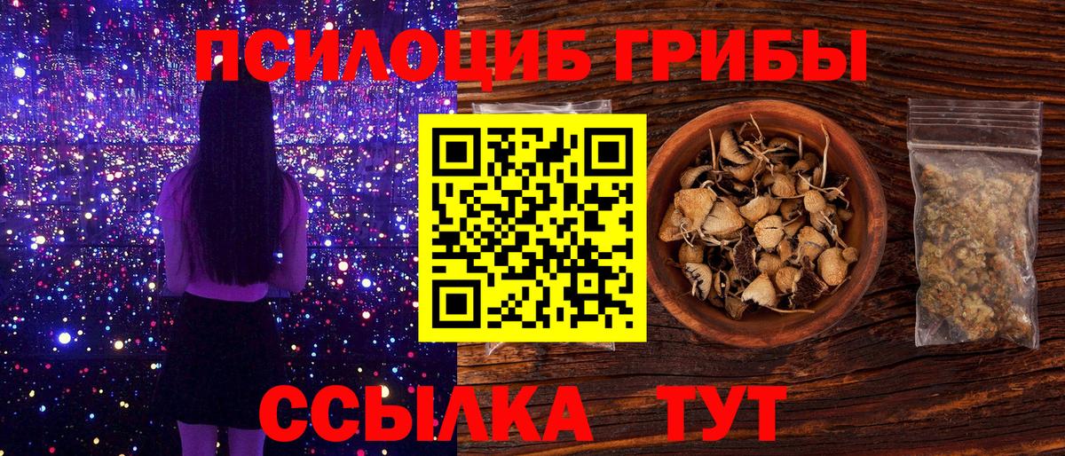 Благовещенск  Псилоцибиновые грибы мухоморы  Вход с VPN 